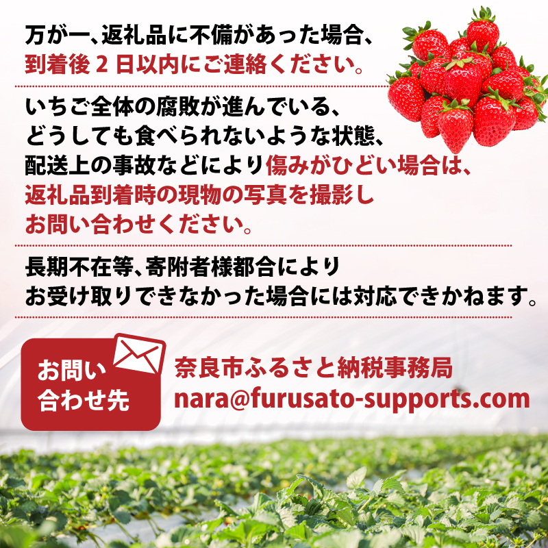 いちご ことか 270g×2パック 大粒 古都華 数量限定 冷蔵 イチゴ 苺 フルーツ 果物 小分け ブランドいちご 甘い おすすめ 贈答 プレゼント ギフト 奈良県 奈良市 いちご農家だるま