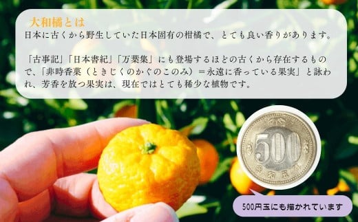 大和橘あめジュース 10本入り ならBonbon 奈良県 奈良市 なら 16-003