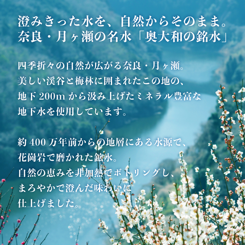 水 美味しい水 月ヶ瀬の水 奥大和の銘水48本セット シリカ水 軟水 賞味期限2年 長期間保存可能 永伸商事株式会社 I-98