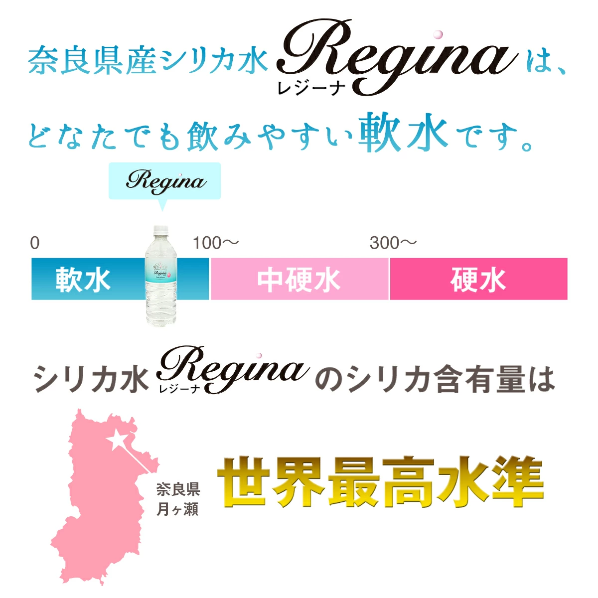 シリカウォーター Regina 奈良県産 24本（540ml） × 2ケース レジーナ LeMoN株式会社 奈良県 奈良市 なら 12-066