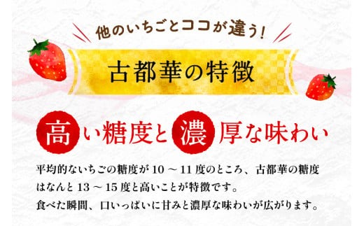 【予約販売】宝石のような濃いルビー色 古都華 奈良ブランド苺 いちご 大粒 4L?5L 2025年1月?数量限定にて順次お届けいたします。　IK-01