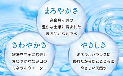 【定期便12ヶ月】奥大和の銘水　540ml×48本（1箱24本入り×2箱）×12ヶ月 A-1