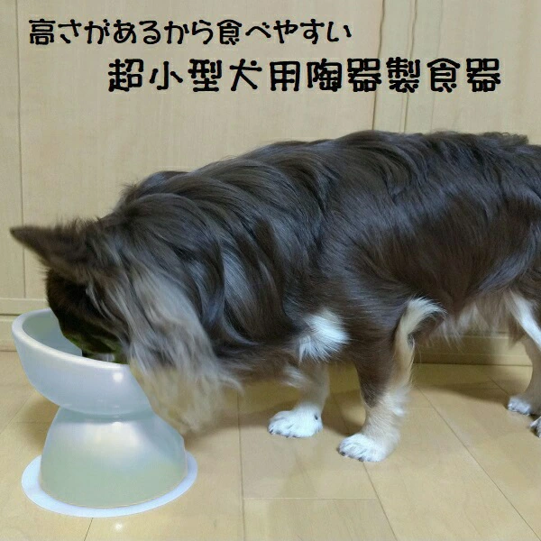 フードボウル ペット用食器 『 超小型犬用食器 オレンジ 』(スケーター株式会社) 犬用食器 ペット用 犬 食器 餌 餌入れ えさ入れ ペットフード入れ 小型犬 マット付 536212 奈良県 奈良市 なら 9-056