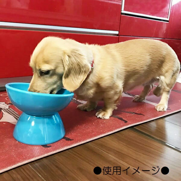  ペット用食器 『 小型犬用食器 オレンジ 』(スケーター株式会社) フードボウル 犬用食器 ペット用 犬 食器 餌 餌入れ えさ入れ ペットフード入れ 小型犬 白 マット付 536274 奈良県 奈良市 なら 9-051