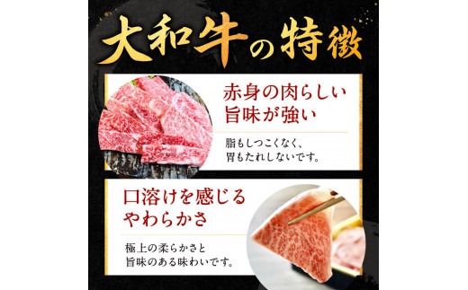 H-112 大和牛焼肉 750g　肉の河内屋