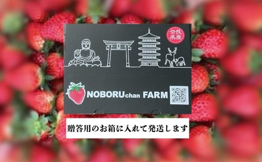 のぼるちゃんファームの古都華いちご イードム株式会社 奈良県 奈良市 なら 13-004