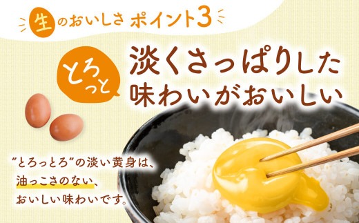 飛鳥の卵（１０個×４箱）定期便６ケ月 たまご 平飼い卵 平飼い 卵 卵 玉子 タマゴ 鶏卵 オムレツ 卵かけご飯 たまご焼き 古都 風雅ファーム 奈良県 奈良市 なら 90-001