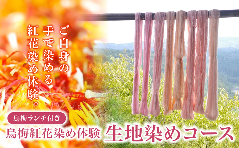 烏梅 紅花染め体験 生地染め コース ランチ付き 染め体験 烏梅 白雪ふきん ふきん 生地 染め ランチ 昼食 家庭料理 烏梅茶 お茶 お食事 食事 チケット 券 体験チケット 梅古庵 奈良県 奈良市 