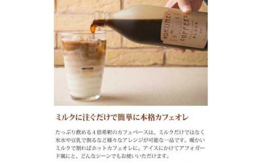 H-100　ギフト ロクメイコーヒー カフェベース 2本　