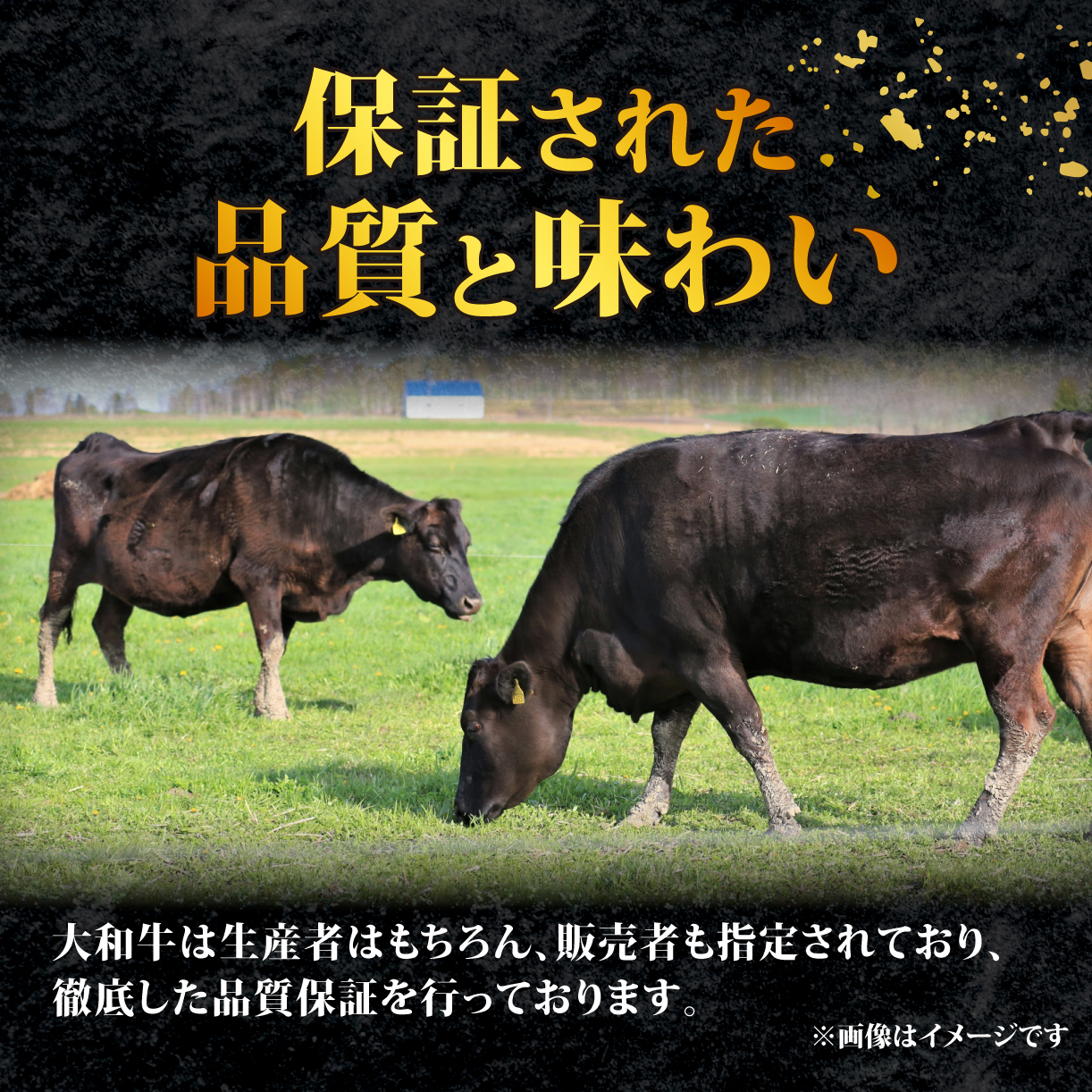 和牛 国産豚 ステーキセット 計1.45kg 牛ランプ 150g×3枚 豚ロース 200g×5枚 奈良 大和牛 ヤマトポーク 冷蔵 チルド配送 小分け すぐ使える 柔らかい 赤身 国産 ブランド牛 国産牛 黒毛和牛 ブランド豚 人気 おすすめ ふるさと納税 お肉 牛 うし 豚 ぶた ぎゅうにく ぶたにく 肉 にく おにく ランプ ステーキ ロース すてーき 奈良県 奈良市 大和牛専門店 一 はじめ