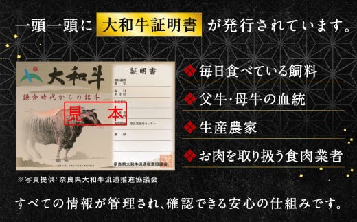 牛肉 ヒレ 大和牛 ヒレステーキ 用 160g×3枚【年末年始12月26日?1月7日の着日指定不可】 大和牛専門店 一 31-001