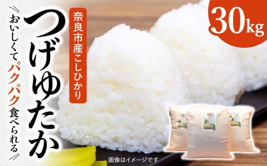 【新米】令和6年産 お米 白米 30kg つげゆたか（コシヒカリ） 都祁地産地消推進会 40-010