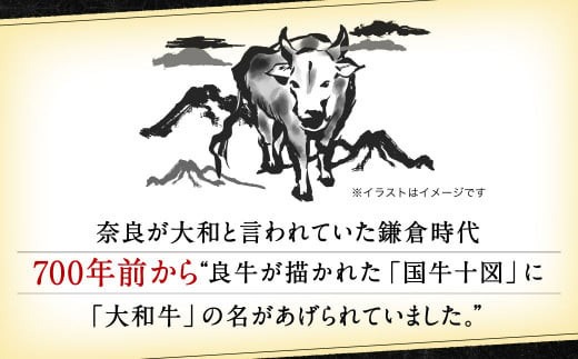 牛肉 和牛 大和牛肩ロース切落し・ヤマトポークロース切落しセット 大和牛専門店 一 U-11