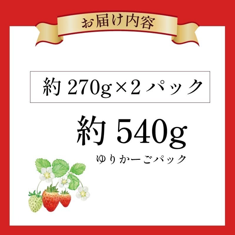 いちご 古都華 約540g 270g×2パック 2026年1月発送 冷蔵 小分け 果物 スイーツ デザート フルーツ ベリー ふるさと納税いちご 大粒 採れたて 完熟 おやつ 産地直送 先行予約 数量限定 季節限定 ブランド 苺 イチゴ いちご 岩井農園 奈良県 奈良市