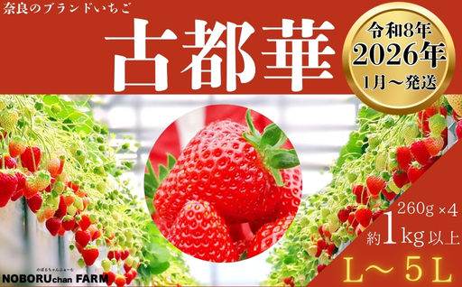 【 先行予約 / 数量限定 】 いちご 1kg 以上 ( 270g × 4P ) 新鮮 産地直送 厳選 【2026年1月以降発送】 旬 ブランド イチゴ 苺 古都華 フルーツ 果物 くだもの 国産 限定 大粒 産地 農場 直送 フレッシュ ベリー 贈答用 プレゼント 人気 おすすめ 苺 デザート スイーツ イードム株式会社 のぼるちゃんファーム 奈良県 奈良市 なら