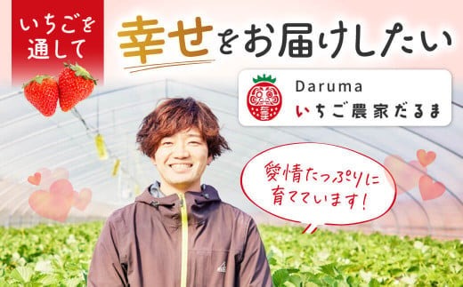 【数量限定】厳選 大ちゃんの古都華（贈答用）（５００ｇ×１パック）　いちご農家だるまいちご 苺 いちご 奈良ブランド苺 イチゴ ブランド プレゼント いちご農家だるま I-287