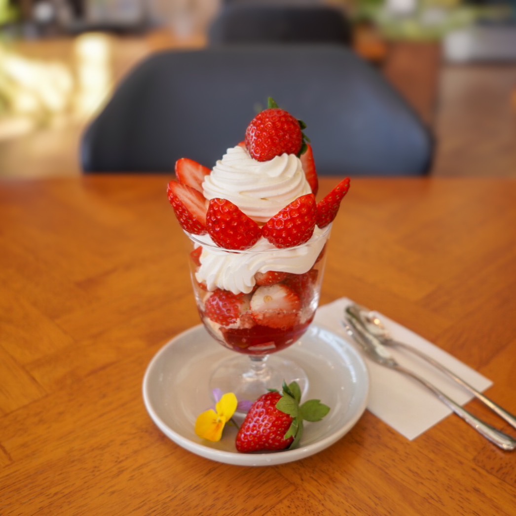 Verry Berry Cafe スィーツカフェお食事券 3000円分 奈良県 奈良市 なら 10-181