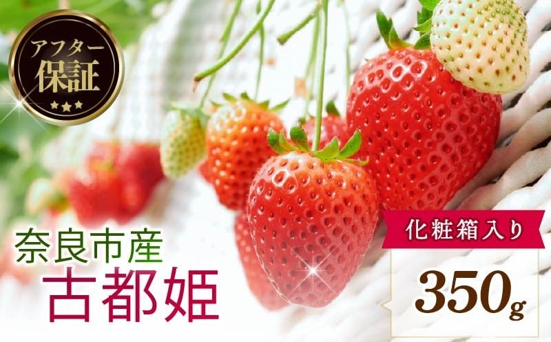 【数量限定】【数量限定】 2026年発送 苺 いちご 古都姫 350g 化粧箱 冷蔵 小分け 果物 スイーツ デザート くだもの フルーツ ベリー ふるさと納税 いちご 大粒 採れたて 完熟 おやつ 産地直送 先行予約 数量限定 季節限定 ブランド イチゴ ギフト お祝い 中村農園 奈良県 奈良市