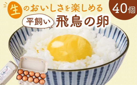 飛鳥の卵 １０個×４箱 たまご 卵 玉子 タマゴ 鶏卵 オムレツ 卵かけご飯 たまご焼き 古都 風雅ファーム 奈良県 奈良市 なら 15-011