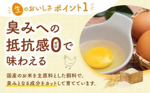 飛鳥の卵（１０個×４箱）定期便１２ケ月 古都 風雅ファーム たまご 平飼い卵 平飼い 卵 玉子 タマゴ 鶏卵 オムレツ 卵かけご飯 たまご焼き 奈良県 奈良市 なら 180-001