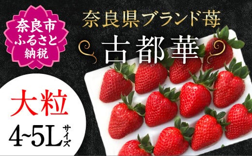 【予約販売】宝石のような濃いルビー色 古都華 奈良ブランド苺 いちご 大粒 4L?5L 2025年1月?数量限定にて順次お届けいたします。　IK-01