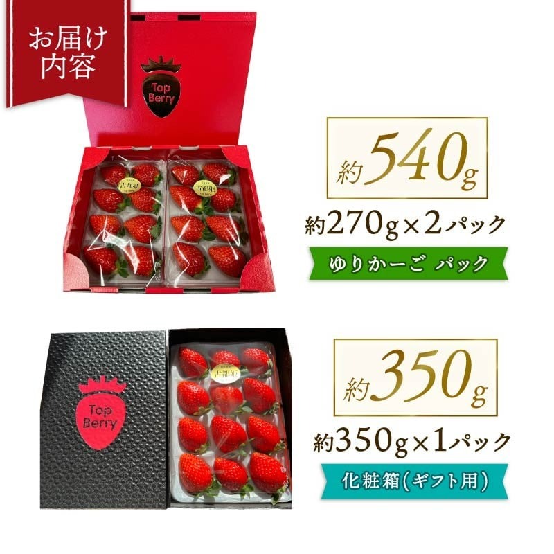 【数量限定】 2026年発送 苺 いちご 古都姫 2パック 約540g (270g×2P) ゆりかーご 冷蔵 小分け 果物 スイーツ デザート くだもの フルーツ ベリー ふるさと納税 いちご 大粒 採れたて 完熟 おやつ 産地直送 先行予約 数量限定 季節限定 ブランド イチゴ ギフト お祝い 中村農園 奈良県 奈良市