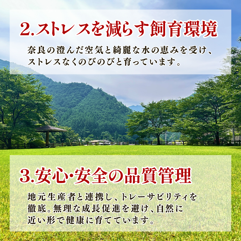 国産豚肉 ステーキ用 ロース 1000g 200g×5枚 奈良 ヤマトポーク 冷蔵 チルド配送 小分け すぐ使える 柔らかい 国産 ブランド豚 国産豚 使い勝手抜群 焼肉 バーベキュー BBQ 10000円 1万円 人気 おすすめ ふるさと納税 お肉 豚 ぶた ぶたにく 肉 にく おにく 奈良県 奈良市 大和牛専門店 一 はじめ