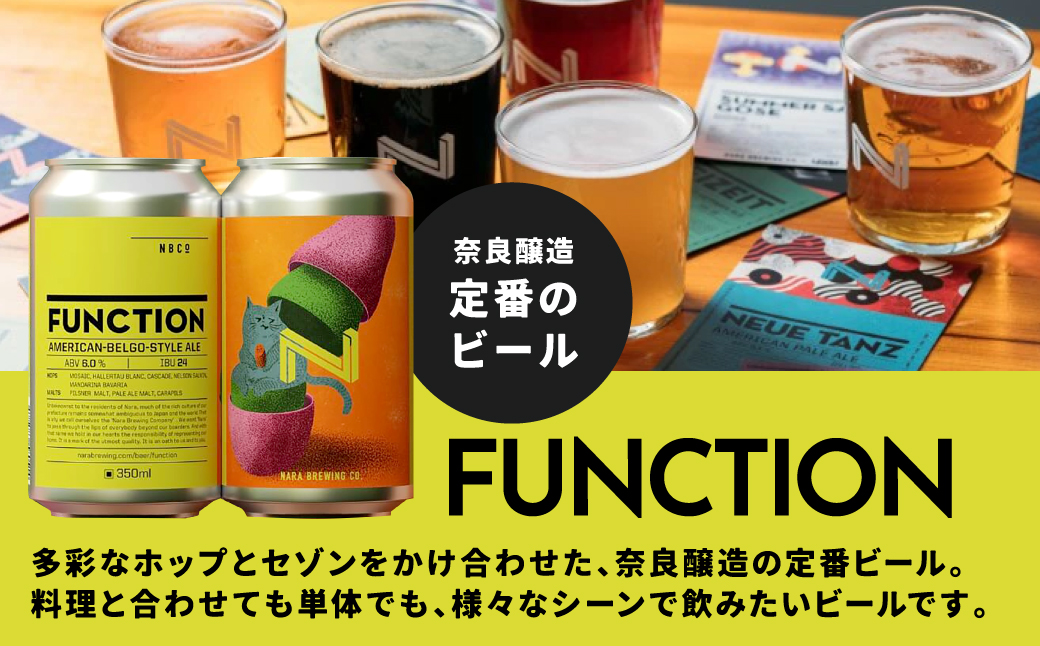 奈良クラフトビールセット RITAマーケティングパートナーズ 奈良県 奈良市 なら 45-006