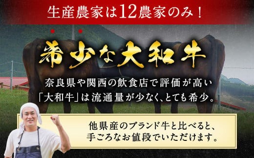 牛肉 和牛 大和牛肩ロース切落し・ヤマトポークロース切落しセット 大和牛専門店 一 U-11