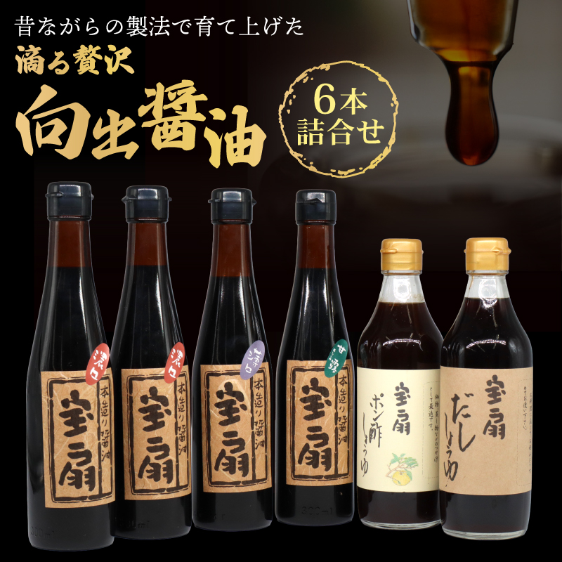 醤油 調味料 向出醤油 詰合せセット 合名会社 向出商店 I-52