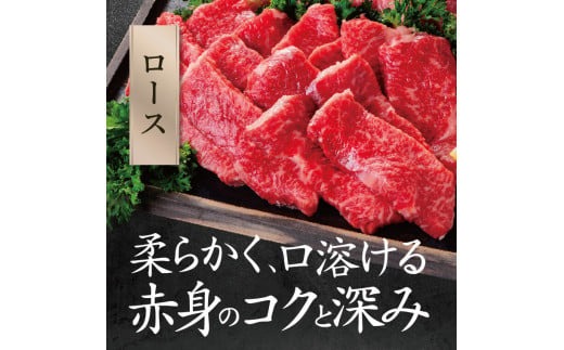 牛肉 和牛 ブランド牛 大和牛 焼肉セット【年末年始12月26日?1月7日の着日指定不可】 大和牛専門店 一 H-45