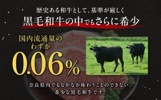 牛肉 ヒレ 大和牛 ヒレステーキ 用 ステーキ【年末年始12月26日?1月7日の着日指定不可】 大和牛専門店 一 F-33