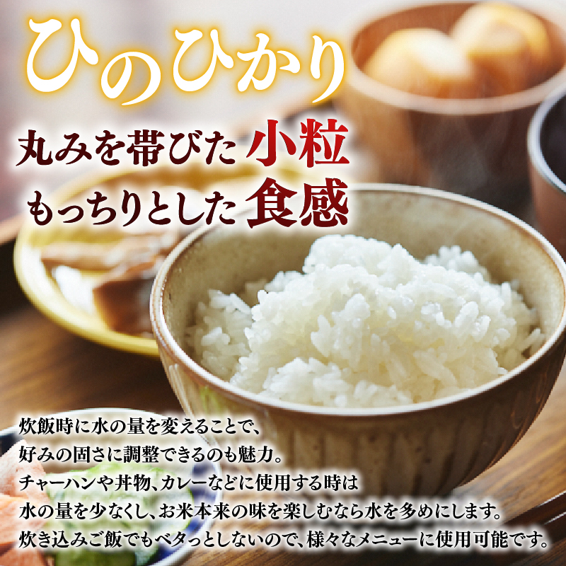 ãç±³ çœç±³ ãããã«ãª 10kgÃ10å æ¯æçºé 什å7å¹Žç£ å®æäŸ¿ 宿 ç±³ 粟米 ç£å°çŽé 蟲家çŽé ãããã³ ãã«ãã ãã ãåŒåœ ã飯 ãã¯ã ãã©ã³ãç±³ å¥è¯ç å¥è¯åž ãªã ono02