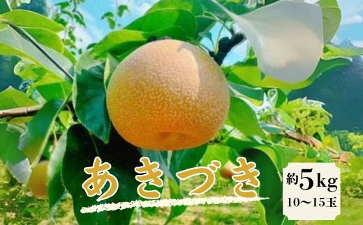 梨 （ あきづき ）〈数量限定：先行予約〉 井ガシラ農園 果物 梨 ナシ なし 和梨 スイーツ フルーツ デザート 水 豊水 先行 果物 くだもの フルーツ ナシ 梨 先行予約 送料無料 旬 果物 お取り寄せ 梨 なし 梨 スムージー 奈良県 奈良市 なら 15-015