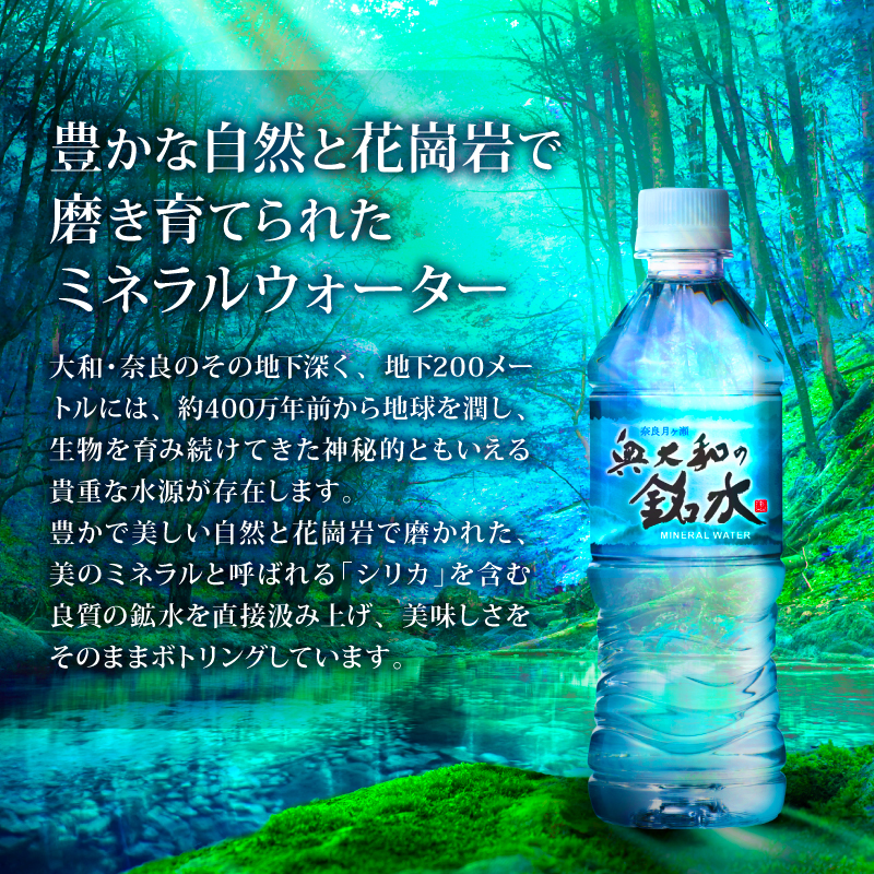 奥大和の銘水 500ml×48本（1箱24本入り×2箱） 水 美味しい水 月ヶ瀬の水 奥大和の銘水48本セット シリカ水 軟水 賞味期限2年 長期間保存可能 永伸商事株式会社