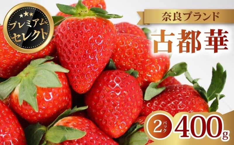 いちご 古都華 プレミアム セレクト 2026年 発送（400g×2パック） 贈与用 予約受付中 数量限定 早期終了 予定あり いちご イチゴ 先行予約 いちご 苺 奈良ブランド苺 イチゴ ブランド 古都華 大粒 苺 旬 産地 直送 フレッシュ 新鮮 フルーツ 果物 くだもの 萩原いちご農園 奈良県 奈良市