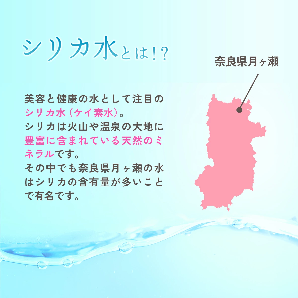 シリカウォーター Regina 奈良県産 24本（540ml） × 2ケース レジーナ LeMoN株式会社 奈良県 奈良市 なら 12-066