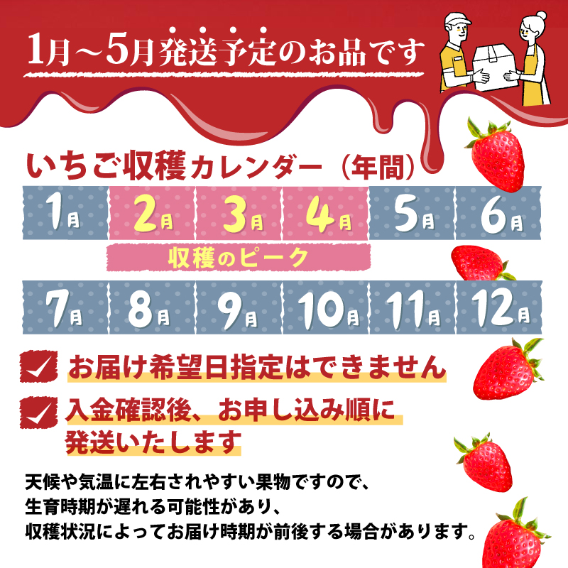 いちご ことか 270g×2パック 大粒 古都華 数量限定 冷蔵 イチゴ 苺 フルーツ 果物 小分け ブランドいちご 甘い おすすめ 贈答 プレゼント ギフト 奈良県 奈良市 いちご農家だるま