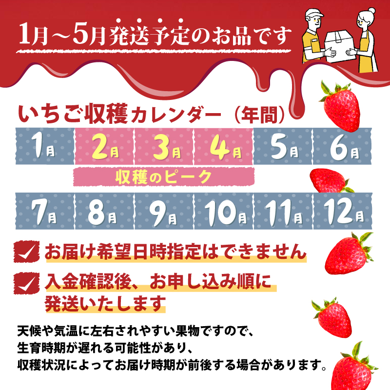 いちご 古都華 500g 250g×2パック Lサイズ以上 250g 2027年 1月発送 小分け パック フルーツ 果物 スイーツ 甘い いちご 苺 イチゴ お取り寄せ 大粒 朝採り フルーツ 果物 国産 冷蔵配送 送料無料 高級 家庭用 ケーキ お菓子 使用 500g 6000円 奈良県 奈良市