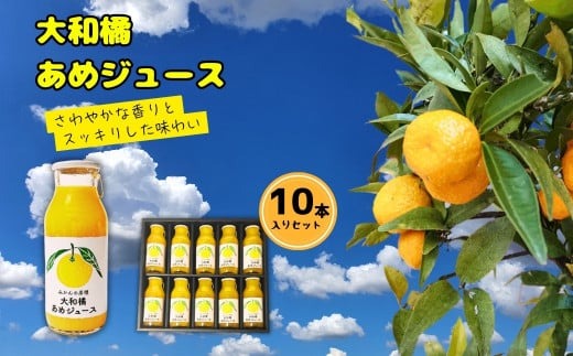 大和橘あめジュース 10本入り ならBonbon 奈良県 奈良市 なら 16-003