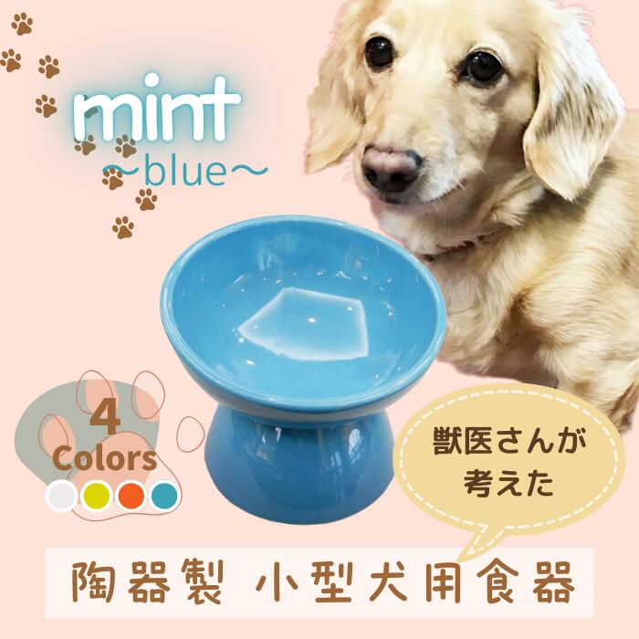 ペット用食器 『 小型犬用食器 ミント ブルー 』(スケーター株式会社) フードボウル 犬用食器 ペット用 犬 食器 餌 餌入れ えさ入れ ペットフード入れ 小型犬 白 マット付 536281 奈良県 奈良市 なら 9-052