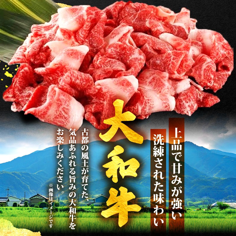 H-113 倧åç ããçŒãã»ããã¶ããã¶çšåãèœãšã 1.2kgãèã®æ²³å
å±