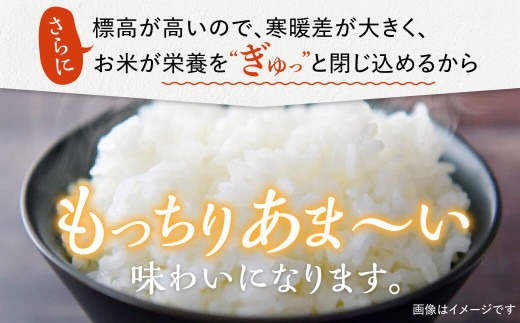 【新米】令和6年産 お米 白米 30kg つげゆたか（コシヒカリ） 都祁地産地消推進会 40-010