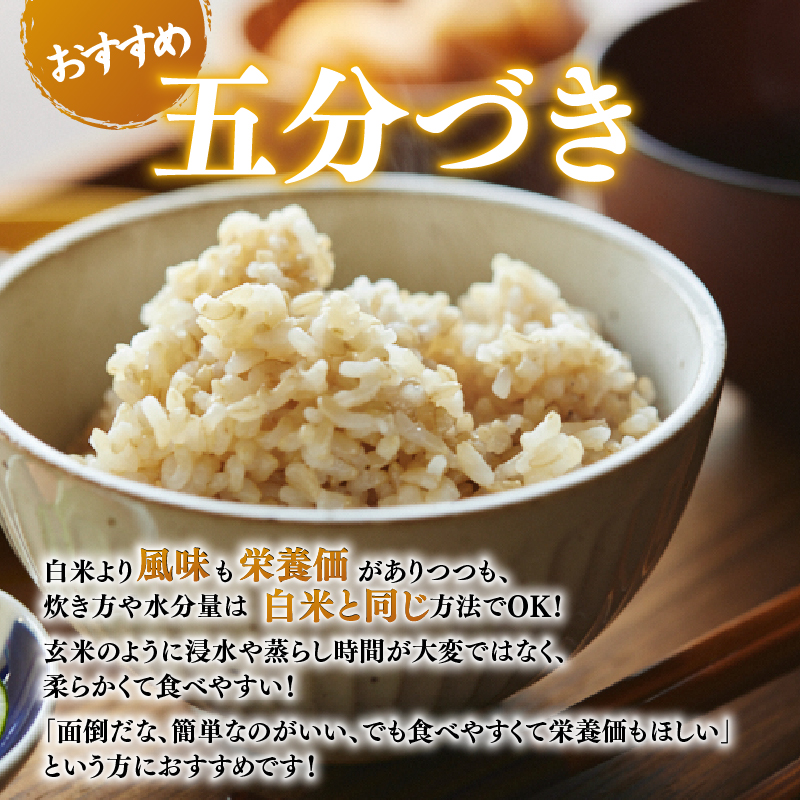 お米 5分づき ヒノヒカリ 10kg×1回 毎月発送 令和7年産 定期便 定期 米 精米 産地直送 農家直送 おむすび おにぎり こめ お弁当 ご飯 ごはん ブランド米 奈良県 奈良市 なら 45-016