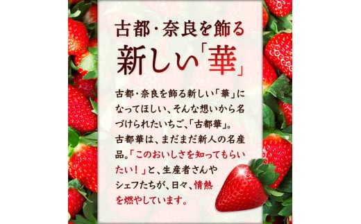 【予約販売2025年1月?】【数量限定】奈良のプレミアム苺「古都華」 苺 いちご イチゴ 奈良 なら 大粒 I-275