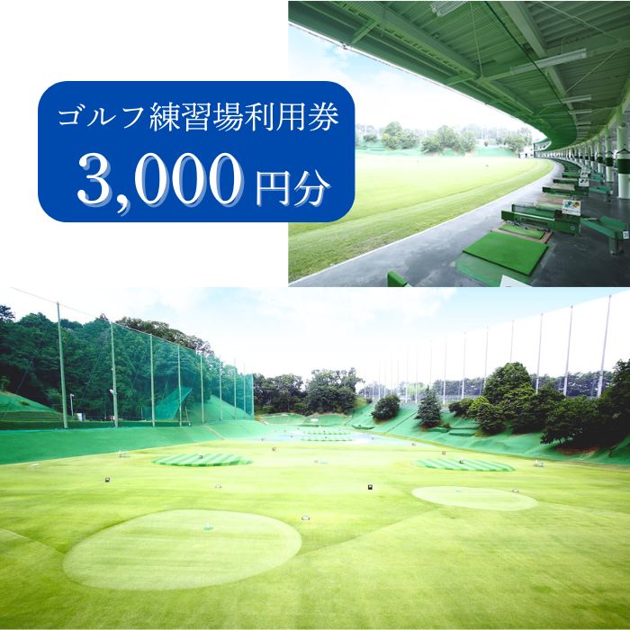 I-206 ゴルフ練習場利用券【3,000円分】