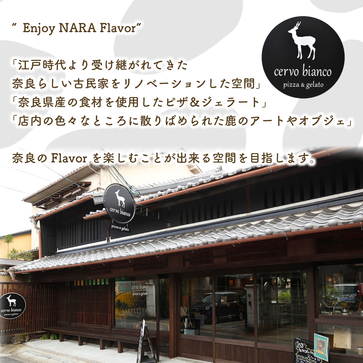 ã¹ã€ãŒã ã¢ã€ã¹ã¯ãªãŒã å¥è¯ã®å€§äººæ°åºcervo biancoã®ãžã§ã©ãŒã 5åã»ãã cervo bianco J-47