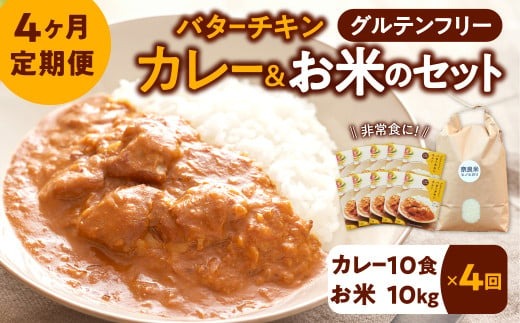 新米 令和6年産 定期 お米ヒノヒカリ10kg＋カレー10袋 ×4回コース 210-004