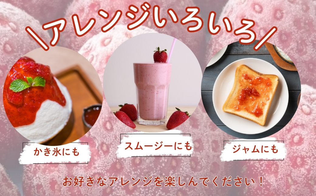 【数量限定】完熟古都華 の 冷凍いちご（古都華） 奈良ブランド苺 イチゴ フルーツ 果物 国産 冷凍 人気 かき氷 フローズン スムージー ジャム アレンジ スイーツ 『６FARM』 奈良県 奈良市 10-212 [10-212]