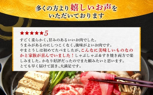 I-276 大和牛すき焼き（しゃぶしゃぶ）用切り落とし 600g　肉の河内屋